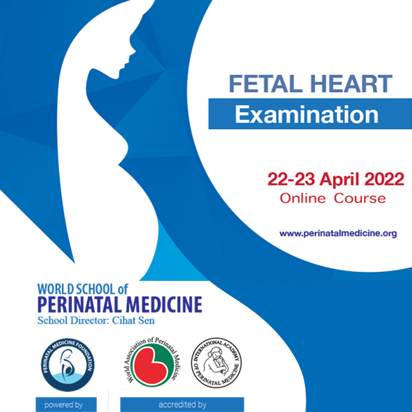 fetal-heart-examination